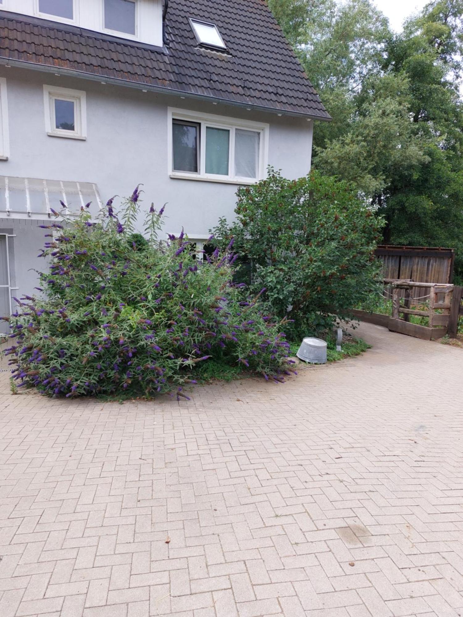 Schoene Wohnung Direkt Am Bach Neunkirchen am Sand Экстерьер фото
